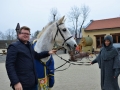 Do Královic přijel svatý Martin na bílém koni již v neděli (Foto: Jitka Krňanská - KL)