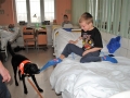 Pejsek Bárt potěšil dětské pacienty v kladenské nemocnici (Foto: Hana Senohrábková)