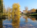 V Buštěhradu vznikl nový rybník (Foto: KL)