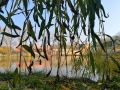 V Buštěhradu vznikl nový rybník (Foto: KL)